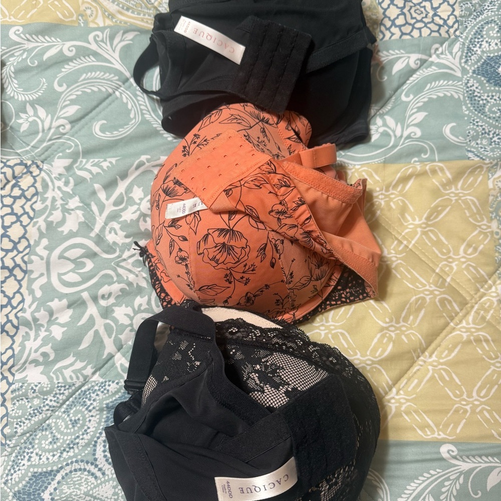 Cacique Black and Orange Floral Lace Bras